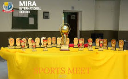Mira International School, Jhunjhunu