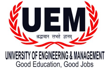 University of Engineering & Management, Jaipur wanted Teaching Faculty