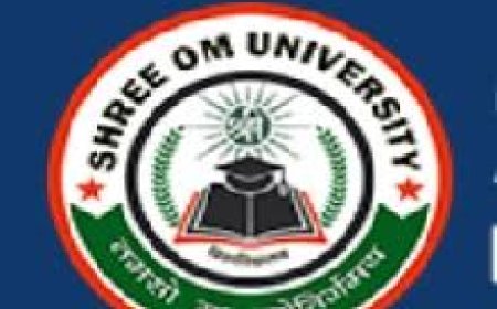 Shree Om International School & Shree Om University- Required Principal and Faculty