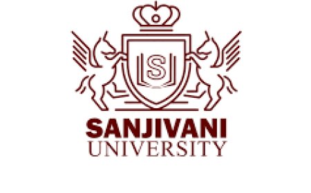 National Level Workshop on Book Writing & Free Online Publishing by Sanjivani University