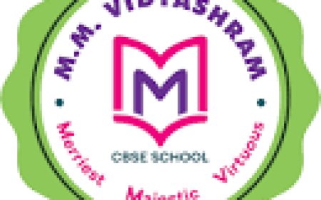 M.M Vidyashram Senior Secondary CBSE school, Kovilpatti, Tamilnadu wanted PGT/ TGT
