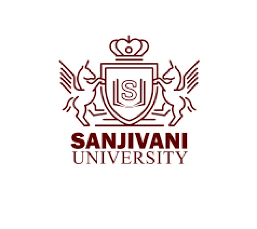 National Level Workshop on Book Writing & Free Online Publishing by Sanjivani University
