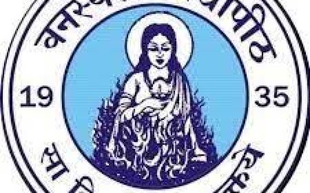Banasthali Vidyapith, Rajasthan Wanted Professor/ Associate Professor/ Assistant Professor/ Research Faculty