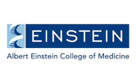 Einstein College of Nursing, Tirunelveli wanted Teaching and Non-Teaching Faculty