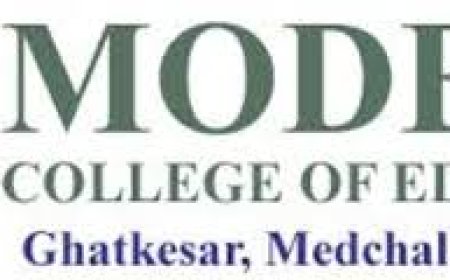 Modern D.Ed College, Rohtak Wanted Teaching Staff