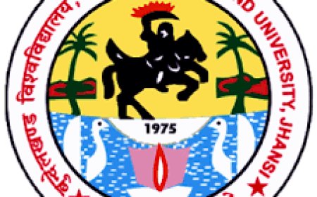 Bundelkhand University, Jhansi Wanted Professor/ Associate Professor/ Assistant Professor