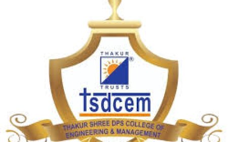 Thakur Shree DPS College of Engineering and Management , Palghar Wanted Teaching and Non-Teaching Faculty