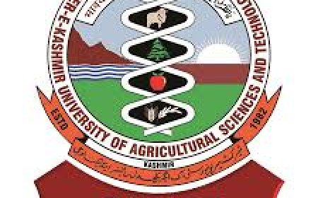 Sher-e-Kashmir University of Agricultural Sciences and Technology of Jammu, Wanted Project Faculty