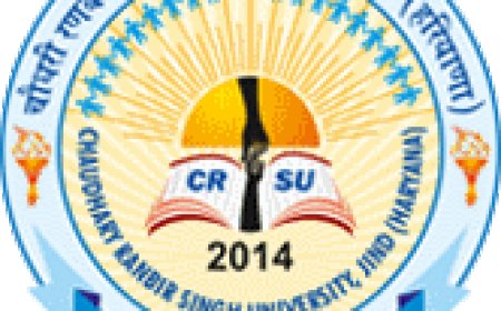Chaudhary Ranbir Singh University, Jind Wanted Part Time Faculty