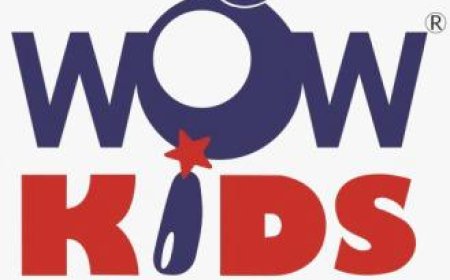 Wow Kids Sparkles, Perambalur Wanted Pre-School Teacher