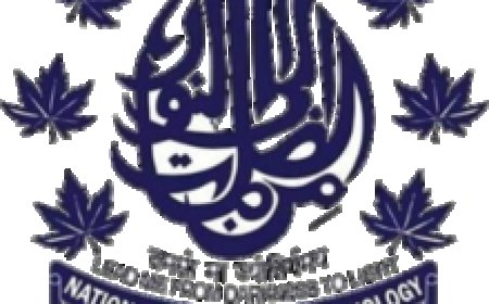 National Institute of Technology, Srinagar Wanted Research Associate-I