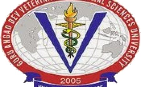 SRF Jobs at Guru Angad Dev Veterinary and Animal Sciences University, Ludhiana