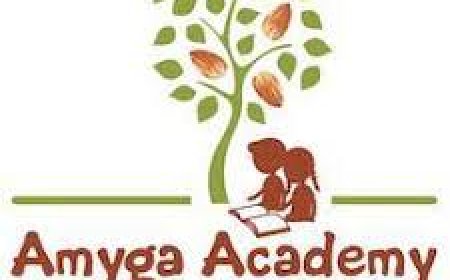 Amyga Foundation Wanted School Teacher