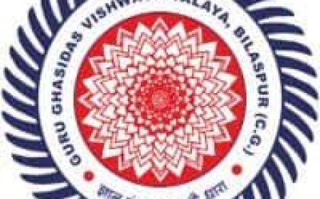 Guru Ghasidas Vishwavidyalaya, Bilaspur, Wanted Project Fellow