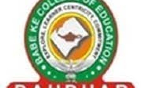 Babe Ke College of Education, Daudhar Wanted Assistant Professor