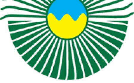 Indian Institute of Management Shillong, Meghalaya Wanted Academic Associate (Teaching)