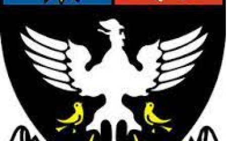 st. xavier’s college wanted assistant professor