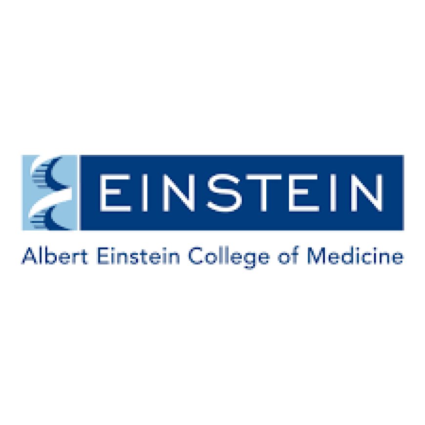 Einstein College of Nursing, Tirunelveli wanted Teaching and Non-Teaching Faculty