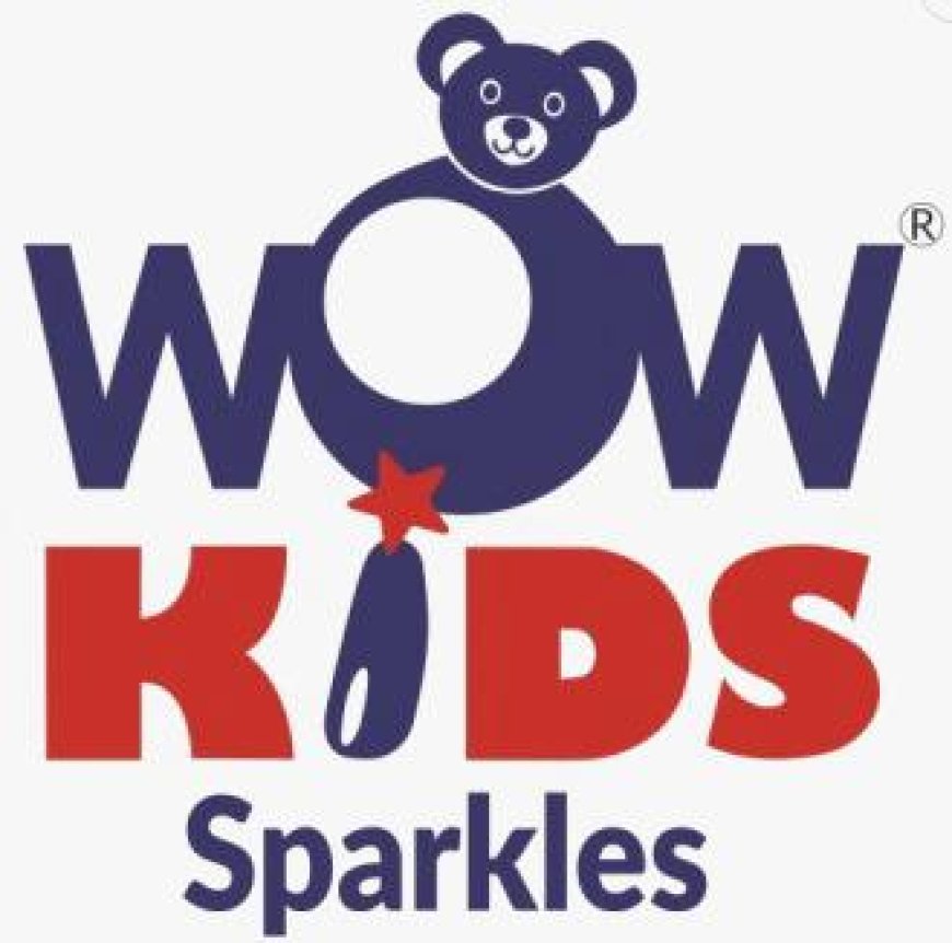 Wow Kids Sparkles, Perambalur Wanted Pre-School Teacher