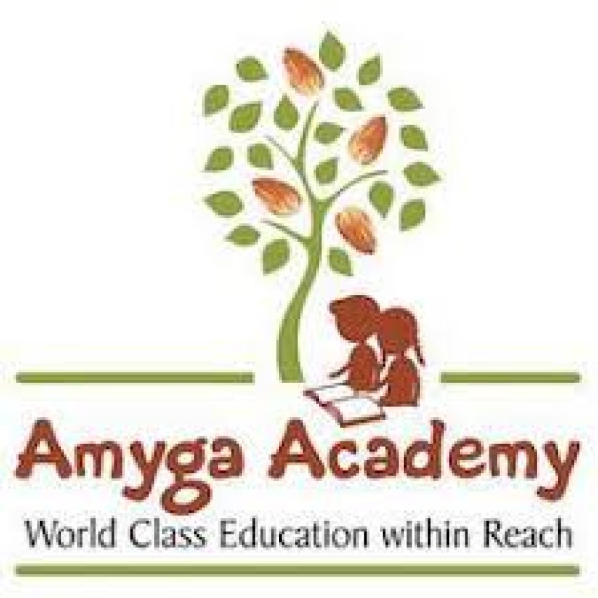 Amyga Foundation Wanted School Teacher