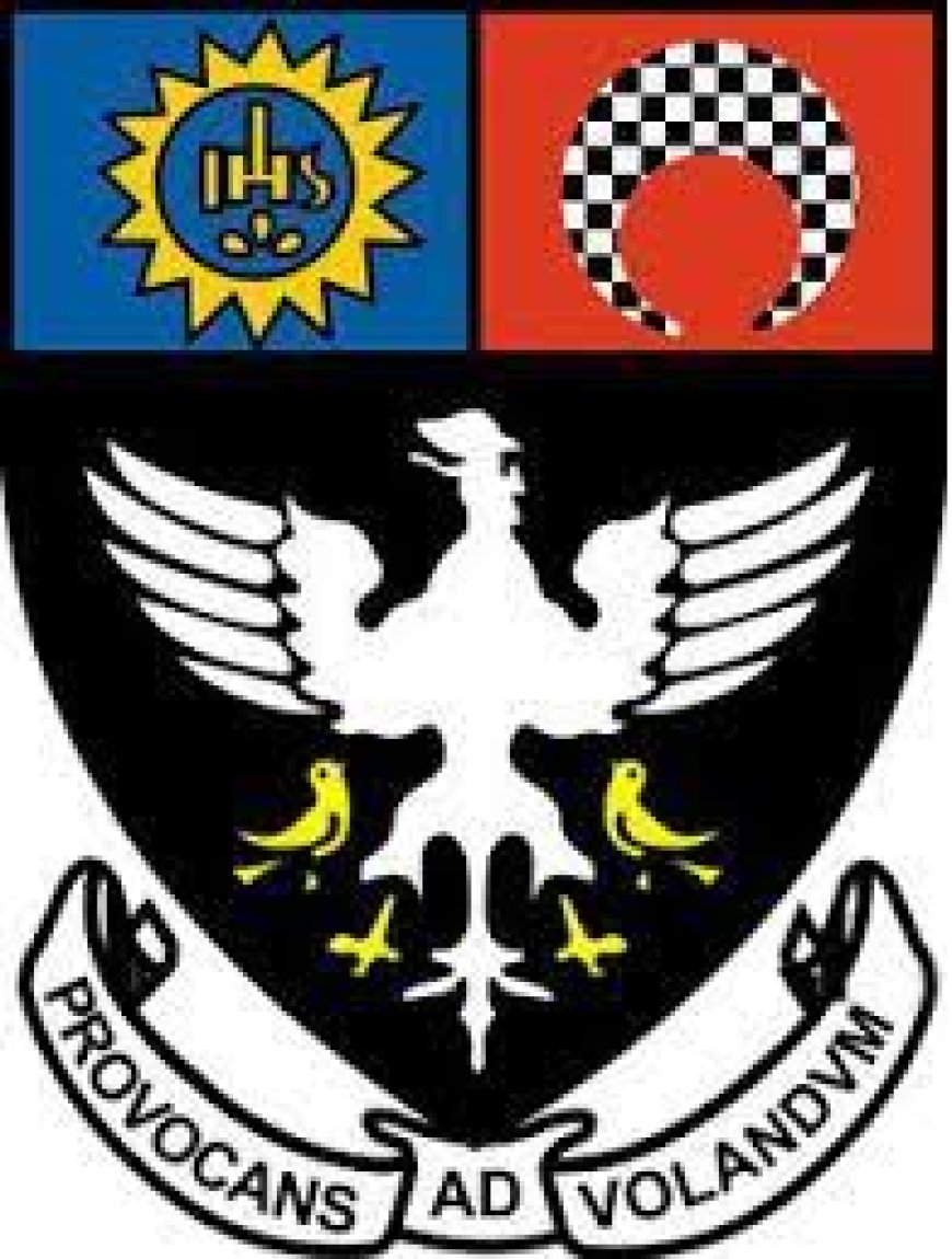 st. xavier’s college wanted assistant professor